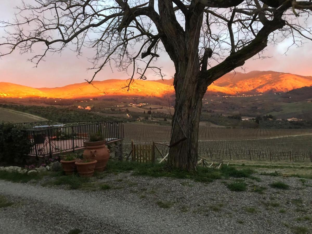 Azienda Agricola Il Poggiolino Villa Pelago Eksteriør billede