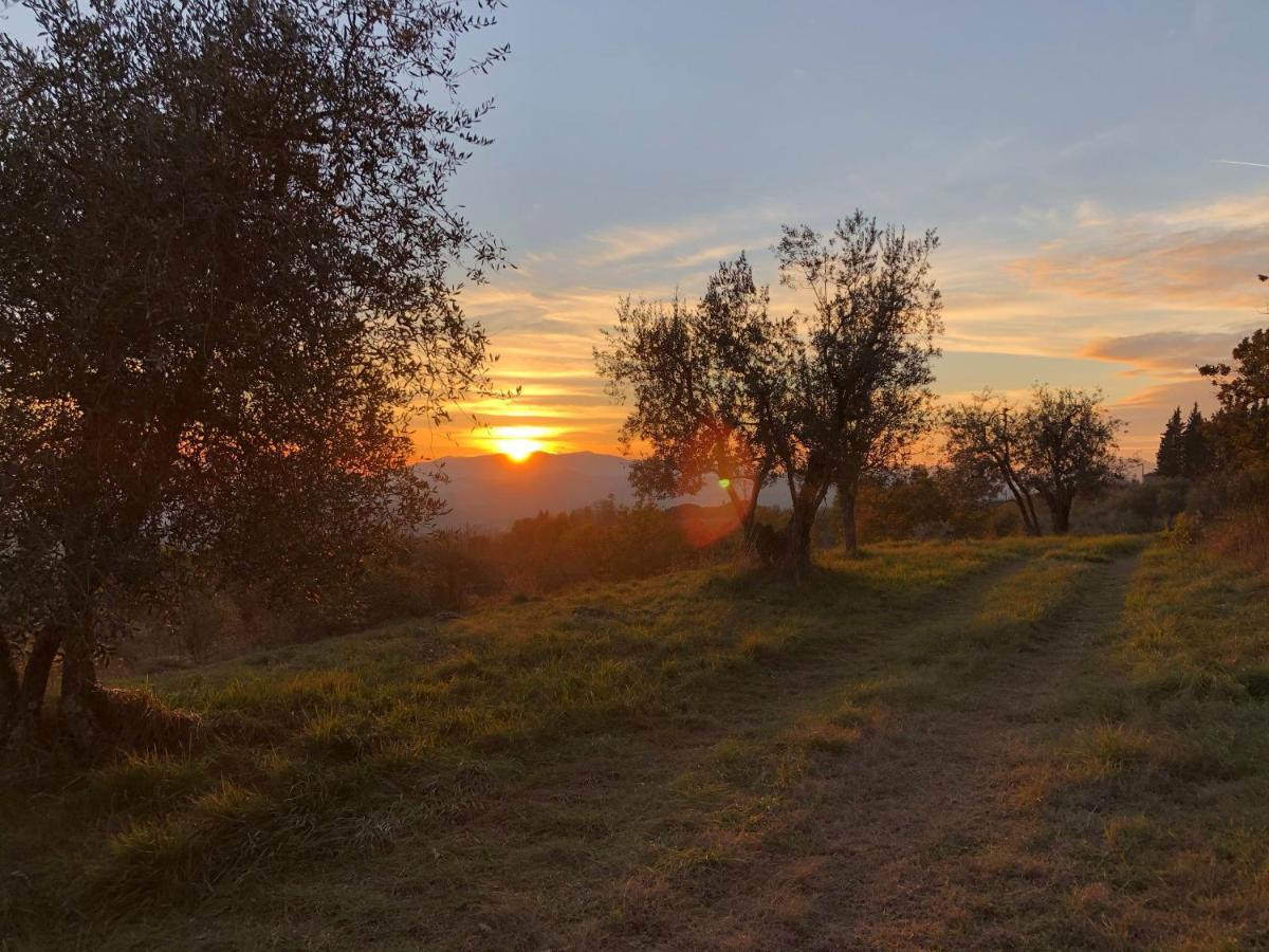 Azienda Agricola Il Poggiolino Villa Pelago Eksteriør billede